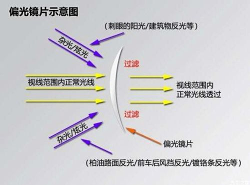 实现外出无删减版体验的全面指南-第2张图片-佛山资讯网 实现外出无删减版体验的全面指南-第2张图片-佛山资讯网