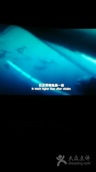 星星影院免费版,高清电影观看新选择-使用指南解析-第1张图片-佛山资讯网 星星影院免费版,高清电影观看新选择-使用指南解析-第1张图片-佛山资讯网
