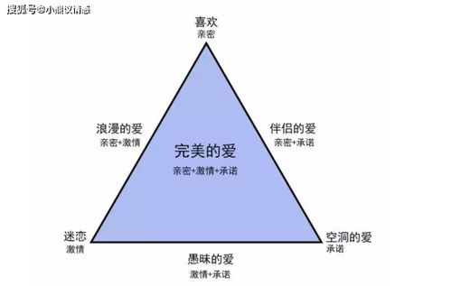 《囚宠》傅渝:情感纠葛与心理挣扎的深度剖析-第2张图片-佛山资讯网 《囚宠》傅渝:情感纠葛与心理挣扎的深度剖析-第2张图片-佛山资讯网