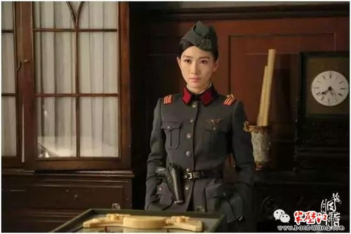 好看的谍战剧,深度剧情与精彩演绎-挑选指南-第4张图片-佛山资讯网 好看的谍战剧,深度剧情与精彩演绎-挑选指南-第4张图片-佛山资讯网