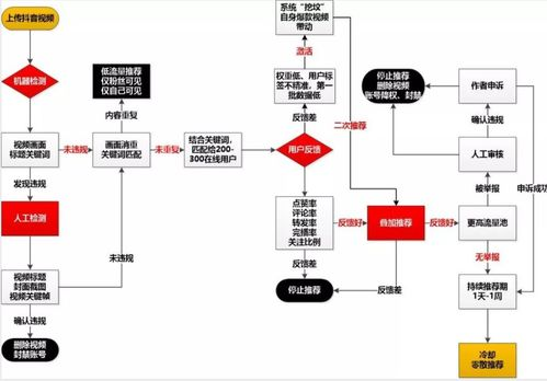 抖音十大神曲,盘点网络流行音乐-音乐魅力解析-第4张图片-佛山资讯网