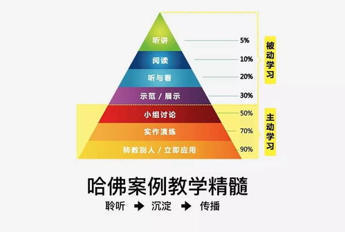 法国旅游与文化魅力解析-探索经济强国多元面貌-第3张图片-佛山资讯网 法国旅游与文化魅力解析-探索经济强国多元面貌-第3张图片-佛山资讯网