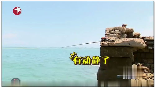 荒岛惊魂,探险生存指南-揭秘荒岛生活-第3张图片-佛山资讯网 荒岛惊魂,探险生存指南-揭秘荒岛生活-第3张图片-佛山资讯网