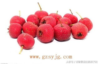 红果免费短剧2024最新精选,精彩内容一网打尽-第3张图片-佛山资讯网 红果免费短剧2024最新精选,精彩内容一网打尽-第3张图片-佛山资讯网