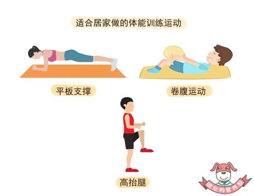 漂亮的瘦子,健康瘦身-科学饮食与锻炼方法解析-第1张图片-佛山资讯网