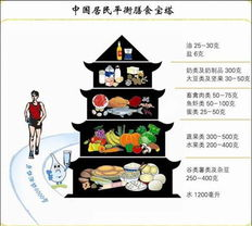 漂亮的瘦子,健康瘦身-科学饮食与锻炼方法解析-第2张图片-佛山资讯网