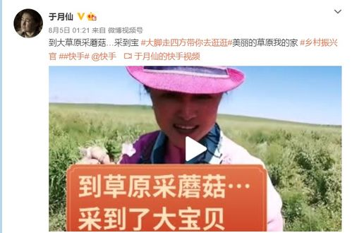 乡村爱情5免费观看-合法途径与精彩剧情解析-第3张图片-佛山资讯网 乡村爱情5免费观看-合法途径与精彩剧情解析-第3张图片-佛山资讯网