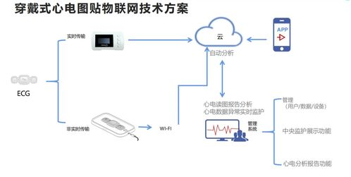 北京卫视在线直播观看指南-高清流畅不卡顿-第2张图片-佛山资讯网