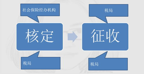 日本视频社区动漫,探索动漫爱好者的天堂-资源与体验解析-第1张图片-佛山资讯网