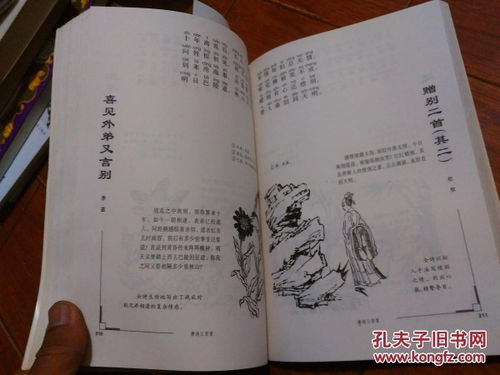 唐诗300首大全,领略古典韵味-文学价值探究-第5张图片-佛山资讯网 唐诗300首大全,领略古典韵味-文学价值探究-第5张图片-佛山资讯网