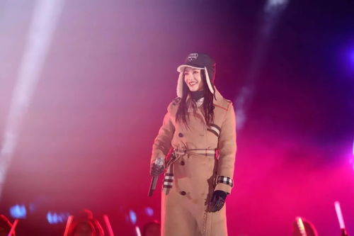 2016湖南卫视跨年演唱会,精彩回顾与幕后花絮-视听盛宴解析-第1张图片-佛山资讯网
