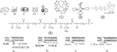 植物大战僵尸长城版,传统元素融合-游戏攻略与技巧解析-第2张图片-佛山资讯网