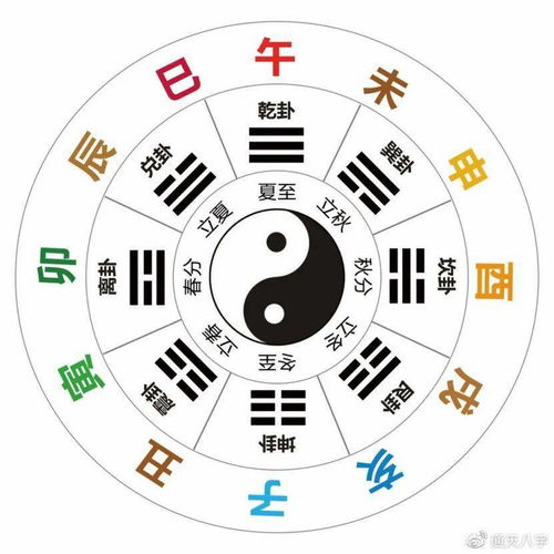 十二生肖传奇-探寻传统文化中的动物象征-第1张图片-佛山资讯网 十二生肖传奇-探寻传统文化中的动物象征-第1张图片-佛山资讯网