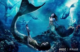 美人鱼真实照片揭秘-揭开神话与现实的面纱-第1张图片-佛山资讯网 美人鱼真实照片揭秘-揭开神话与现实的面纱-第1张图片-佛山资讯网