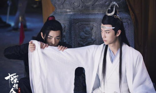 《陈情令》电视剧全集免费观看指南-合法途径与观看技巧解析-第4张图片-佛山资讯网 《陈情令》电视剧全集免费观看指南-合法途径与观看技巧解析-第4张图片-佛山资讯网