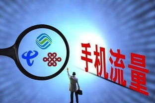 成全高清视频免费观看指南-合法途径与安全策略-第4张图片-佛山资讯网