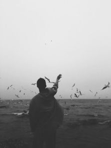 滚烫春夜全文小说txt下载与阅读体验-第3张图片-佛山资讯网 滚烫春夜全文小说txt下载与阅读体验-第3张图片-佛山资讯网