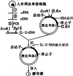 呼吸过度,现代生活的挑战-应对策略解析-第3张图片-佛山资讯网