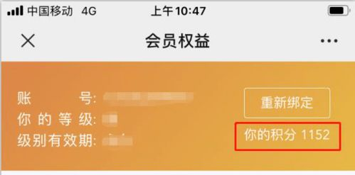 40集电视剧免费观看指南-合法渠道与高质量体验-第5张图片-佛山资讯网