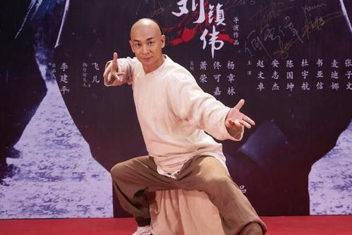 赵文卓电影,传统武术与现代动作的完美结合-艺术成就解析-第1张图片-佛山资讯网 赵文卓电影,传统武术与现代动作的完美结合-艺术成就解析-第1张图片-佛山资讯网