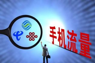 如何在策驰影院观看2023最新电影-观影指南解析-第4张图片-佛山资讯网 如何在策驰影院观看2023最新电影-观影指南解析-第4张图片-佛山资讯网