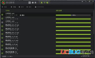 《甄嬛传》第76集免费观看-西瓜影音高清解析-第2张图片-佛山资讯网
