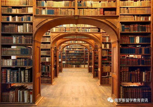 96533电视影片免费获取方法-合法途径与实用技巧解析-第4张图片-佛山资讯网 96533电视影片免费获取方法-合法途径与实用技巧解析-第4张图片-佛山资讯网
