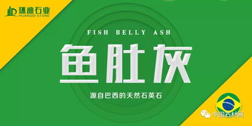 新闻综合频道在线直播,实时资讯与深度报道-观看指南-第3张图片-佛山资讯网 新闻综合频道在线直播,实时资讯与深度报道-观看指南-第3张图片-佛山资讯网