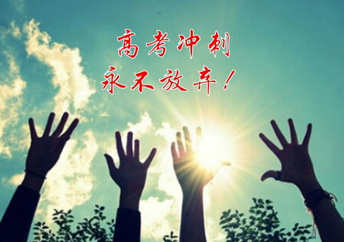 《海贼王》剧场版red,探索未知冒险-剧情与角色解析-第4张图片-佛山资讯网 《海贼王》剧场版red,探索未知冒险-剧情与角色解析-第4张图片-佛山资讯网