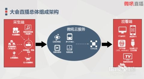 魅影直播,高清互动新体验-直播平台优势解析-第1张图片-佛山资讯网