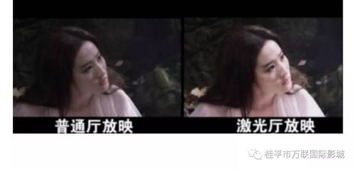 飘雪在线观看影院推荐-温暖心灵的冬日电影精选-第1张图片-佛山资讯网 飘雪在线观看影院推荐-温暖心灵的冬日电影精选-第1张图片-佛山资讯网
