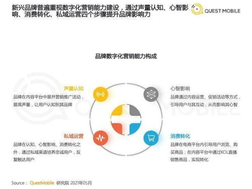 麻花星空无限传媒有限公司,创新广告策略-品牌价值提升解析-第2张图片-佛山资讯网