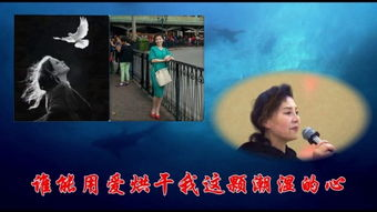 潮湿的心无删减版:情感剖析与环境影响的深度解读-第2张图片-佛山资讯网 潮湿的心无删减版:情感剖析与环境影响的深度解读-第2张图片-佛山资讯网