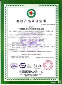 有机食品购买指南-认证标准与选购技巧解析-第2张图片-佛山资讯网