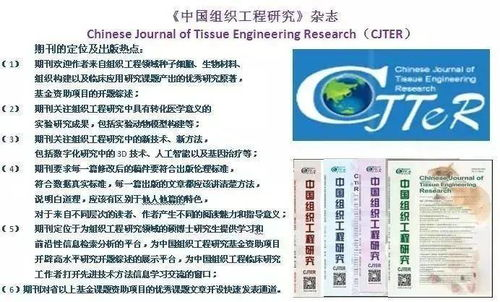 《进击的巨人》完整版剧情解析与深度解读-第4张图片-佛山资讯网 《进击的巨人》完整版剧情解析与深度解读-第4张图片-佛山资讯网