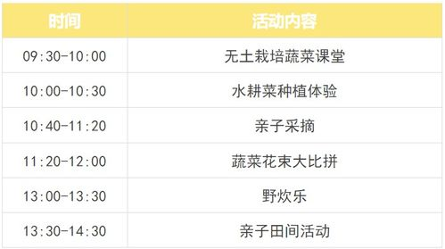 合法途径免费观看《二十不惑》电视剧-平台推荐与观看技巧-第5张图片-佛山资讯网 合法途径免费观看《二十不惑》电视剧-平台推荐与观看技巧-第5张图片-佛山资讯网