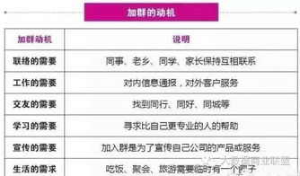 华丽的外出哔哩哔哩视频制作与SEO优化指南-第5张图片-佛山资讯网 华丽的外出哔哩哔哩视频制作与SEO优化指南-第5张图片-佛山资讯网