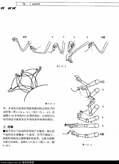 男性变大变长变粗的科学方法-健康生活实践指南-第2张图片-佛山资讯网