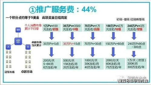 丽宫影院,高端观影体验-服务与设施解析-第4张图片-佛山资讯网