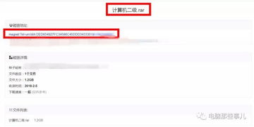 磁力天堂与torrentkitty：高效磁力链接搜索平台比较-使用指南解析-第3张图片-佛山资讯网