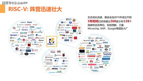 关键词优化策略,提升网站排名-搜索引擎优化深度解析-第5张图片-佛山资讯网
