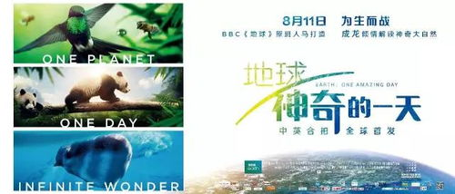 电影观看注意事项，确保观影体验-观众指南解析-第1张图片-佛山资讯网