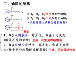 健康饮食秘诀,营养均衡-实现健康生活方式的解析-第1张图片-佛山资讯网 健康饮食秘诀,营养均衡-实现健康生活方式的解析-第1张图片-佛山资讯网