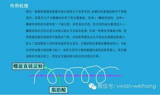 厨房里的春天,让美食与自然和谐共生-第1张图片-佛山资讯网 厨房里的春天,让美食与自然和谐共生-第1张图片-佛山资讯网