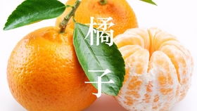 橘子视频下载全解析-快速获取视频资源的利器-第2张图片-佛山资讯网 橘子视频下载全解析-快速获取视频资源的利器-第2张图片-佛山资讯网