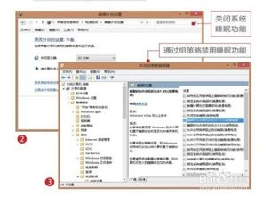 18+游戏手游无广告入口指南-享受纯净游戏体验-第5张图片-佛山资讯网 18+游戏手游无广告入口指南-享受纯净游戏体验-第5张图片-佛山资讯网