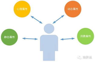 动漫网站优化策略,提升用户体验-高质量内容解析-第1张图片-佛山资讯网 动漫网站优化策略,提升用户体验-高质量内容解析-第1张图片-佛山资讯网