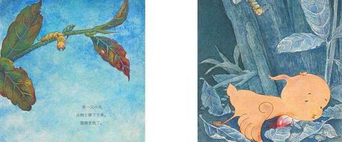 花蝴蝶7免费版大全，一次性解锁全部集数-观看指南解析-第4张图片-佛山资讯网