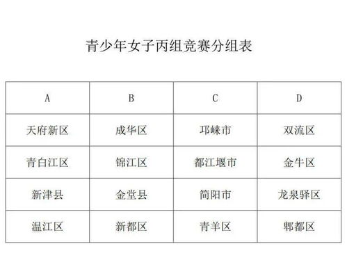 新网球王子U17世界赛,青少年网球未来之星的舞台-赛事深度解析-第3张图片-佛山资讯网