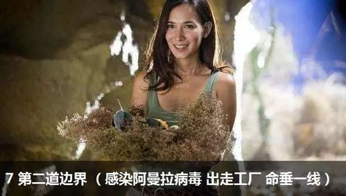 80年代港片的黄金时代:剧情、武打与演员阵容的完美融合-第1张图片-佛山资讯网 80年代港片的黄金时代:剧情、武打与演员阵容的完美融合-第1张图片-佛山资讯网